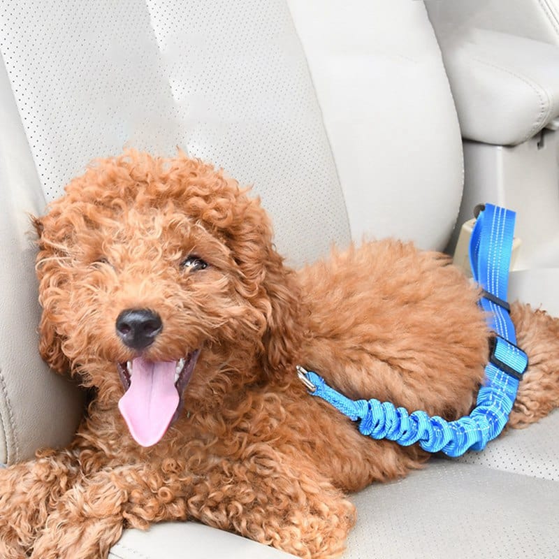 Dog Car Seat Belt Leash High Tensile Adjustable Clip Safety Belt Dog Car Harness Connector Lead Small Medium Large Travel Secure | Koossa